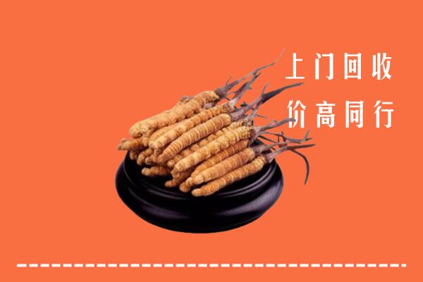 高价求购：六安市叶集回收散虫草