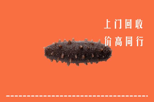 六安市叶集回收海参