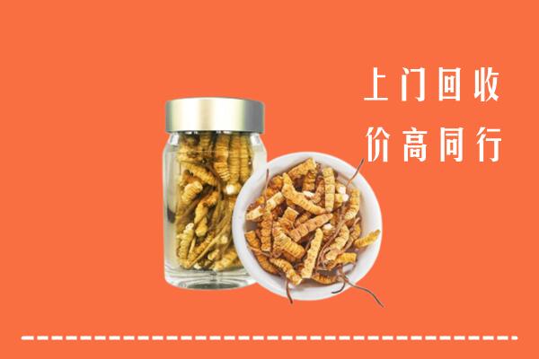 六安市叶集回收冬虫夏草