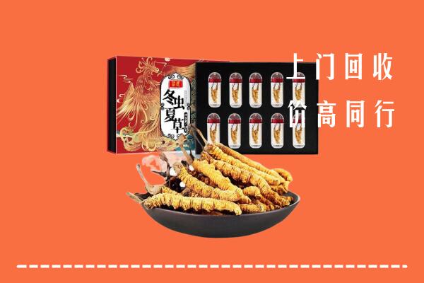 六安市叶集回收虫草